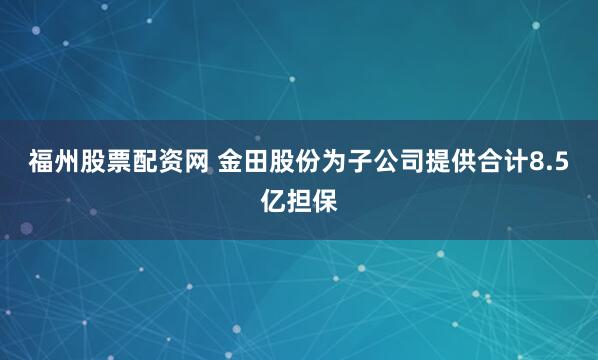 福州股票配资网 金田股份为子公司提供合计8.5亿担保