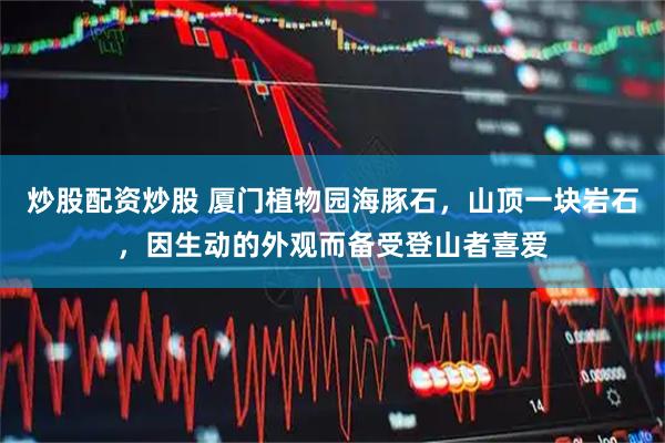 炒股配资炒股 厦门植物园海豚石，山顶一块岩石，因生动的外观而备受登山者喜爱