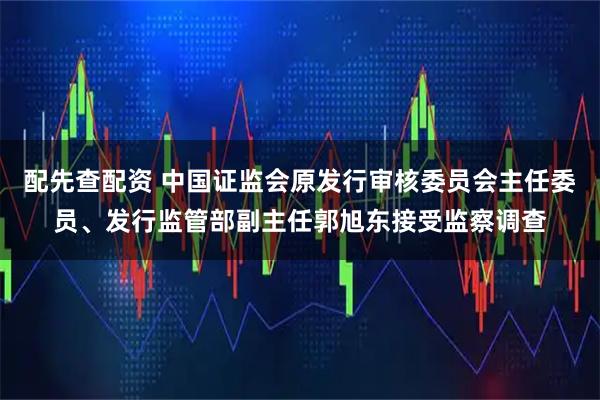 配先查配资 中国证监会原发行审核委员会主任委员、发行监管部副主任郭旭东接受监察调查